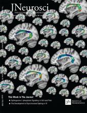 Language exposure relates to structural neural connectivity in childhood